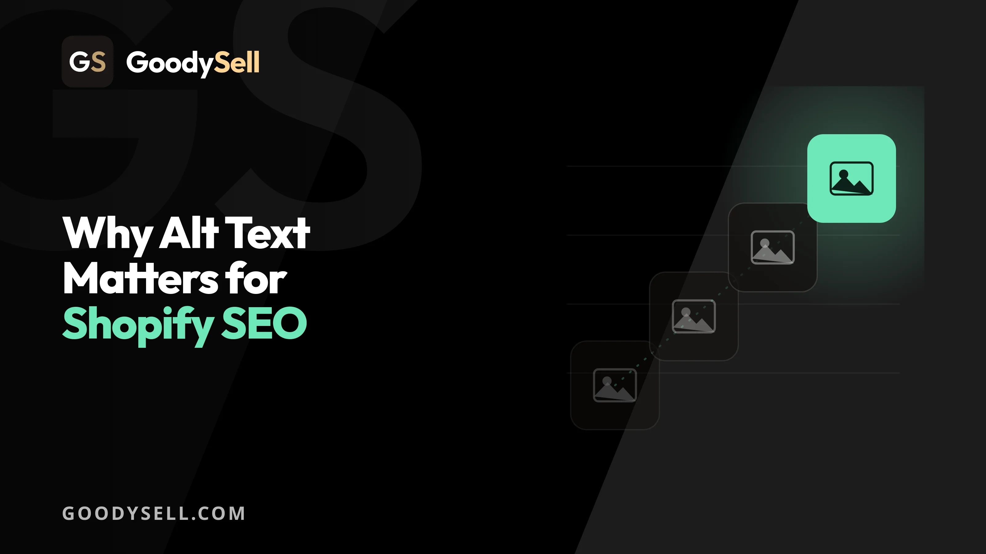 Why Alt Text Matters for Shopify SEO (And Sales)